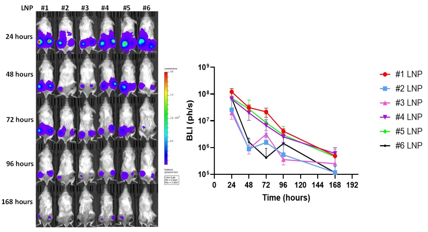 Bioluminescence images of NSG mice at 24 to 168 hours after injection with six luciferase mRNA-LNP formulations, and a line graph of luminescence over time for LNP #1 to #6.